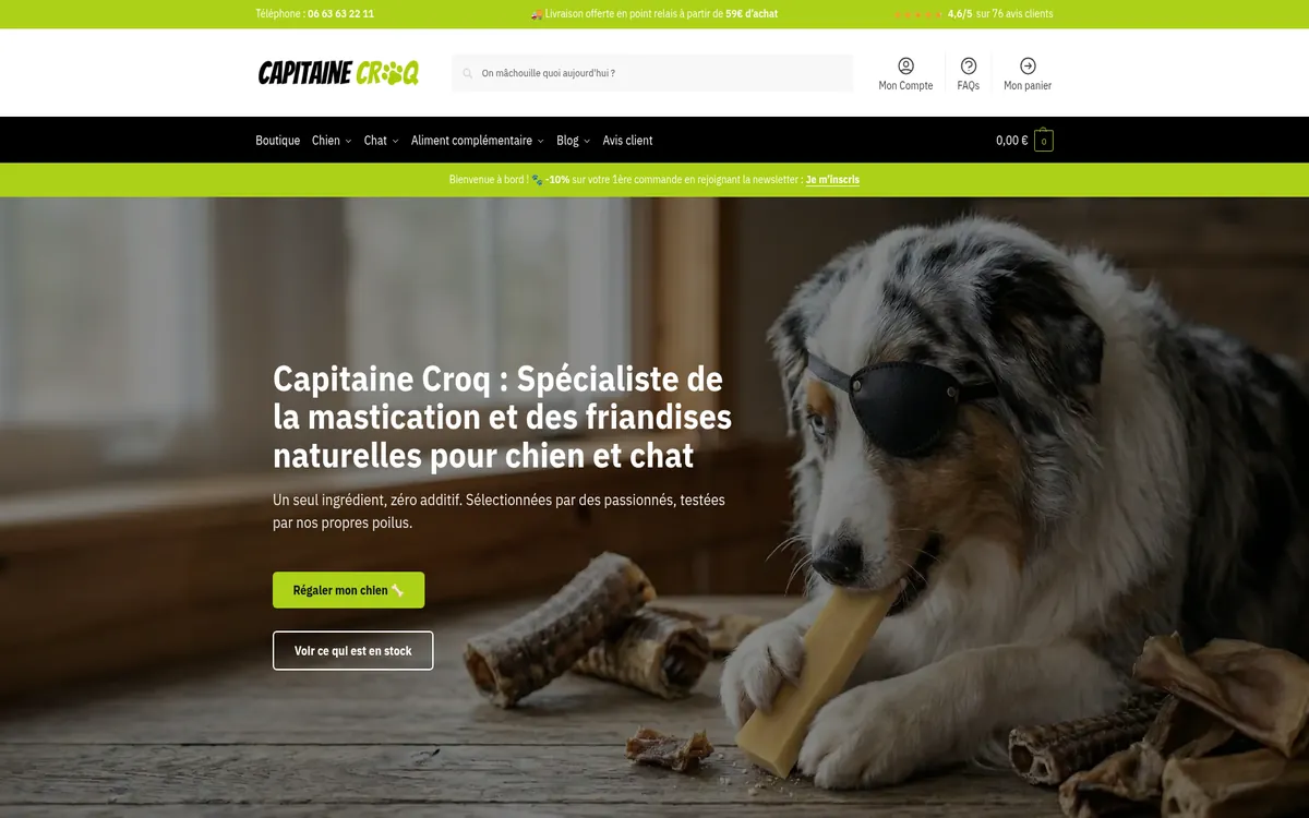 Aperçu du site capitainecroq