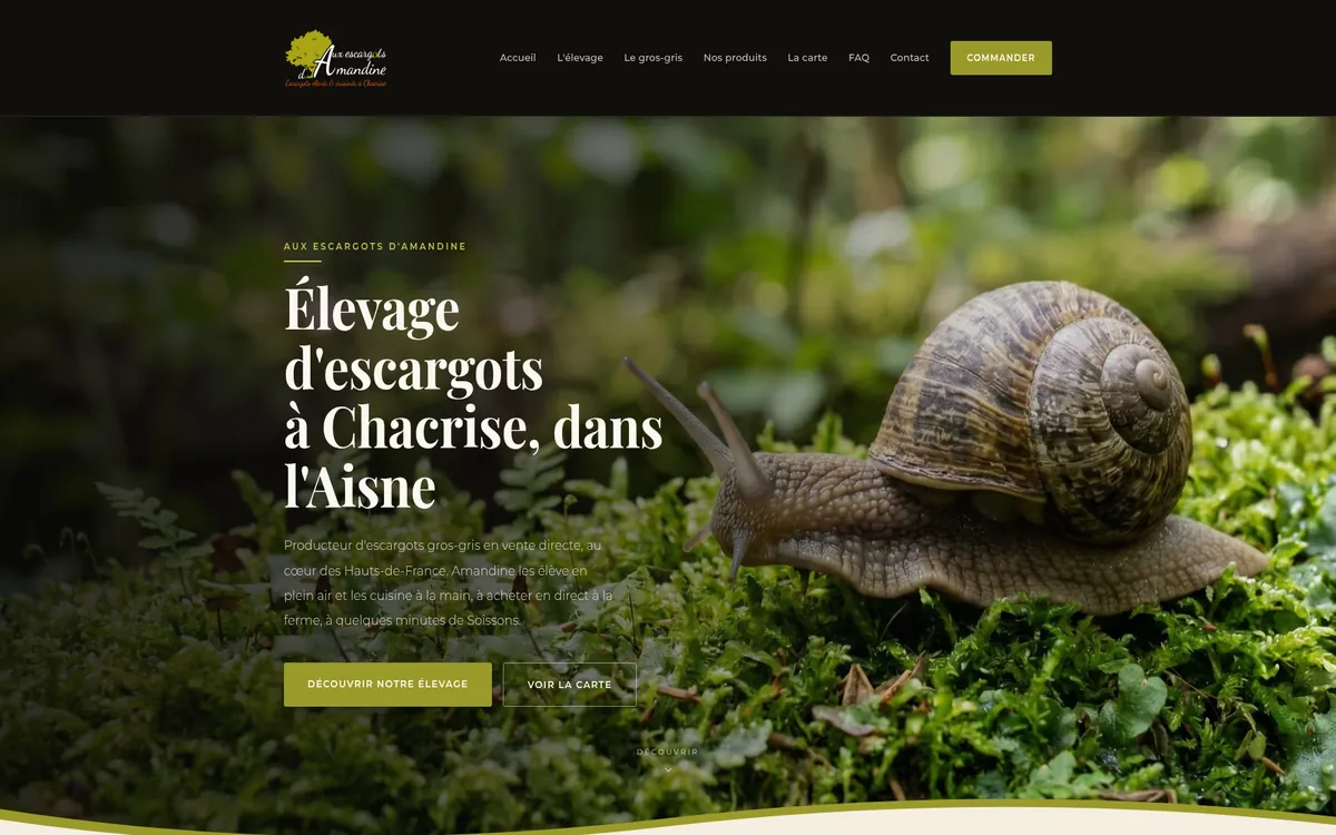 Aperçu du site escargots